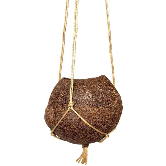 Natural Coconut Fiber Moss Pot