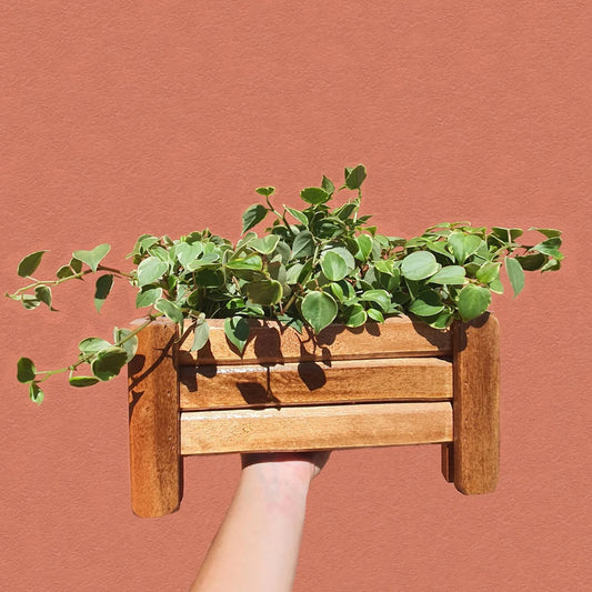 Wooden Slatted Flower Pot 30x16 CM