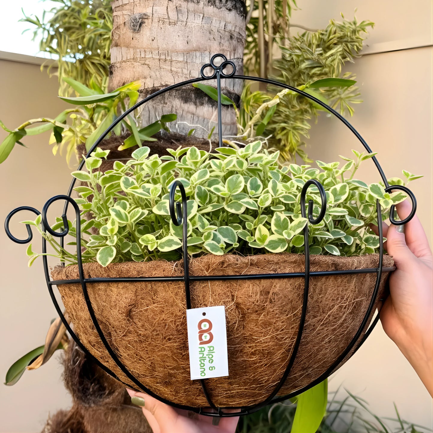 Coconut Fiber Wall Mounted Half Pot Flower Pot