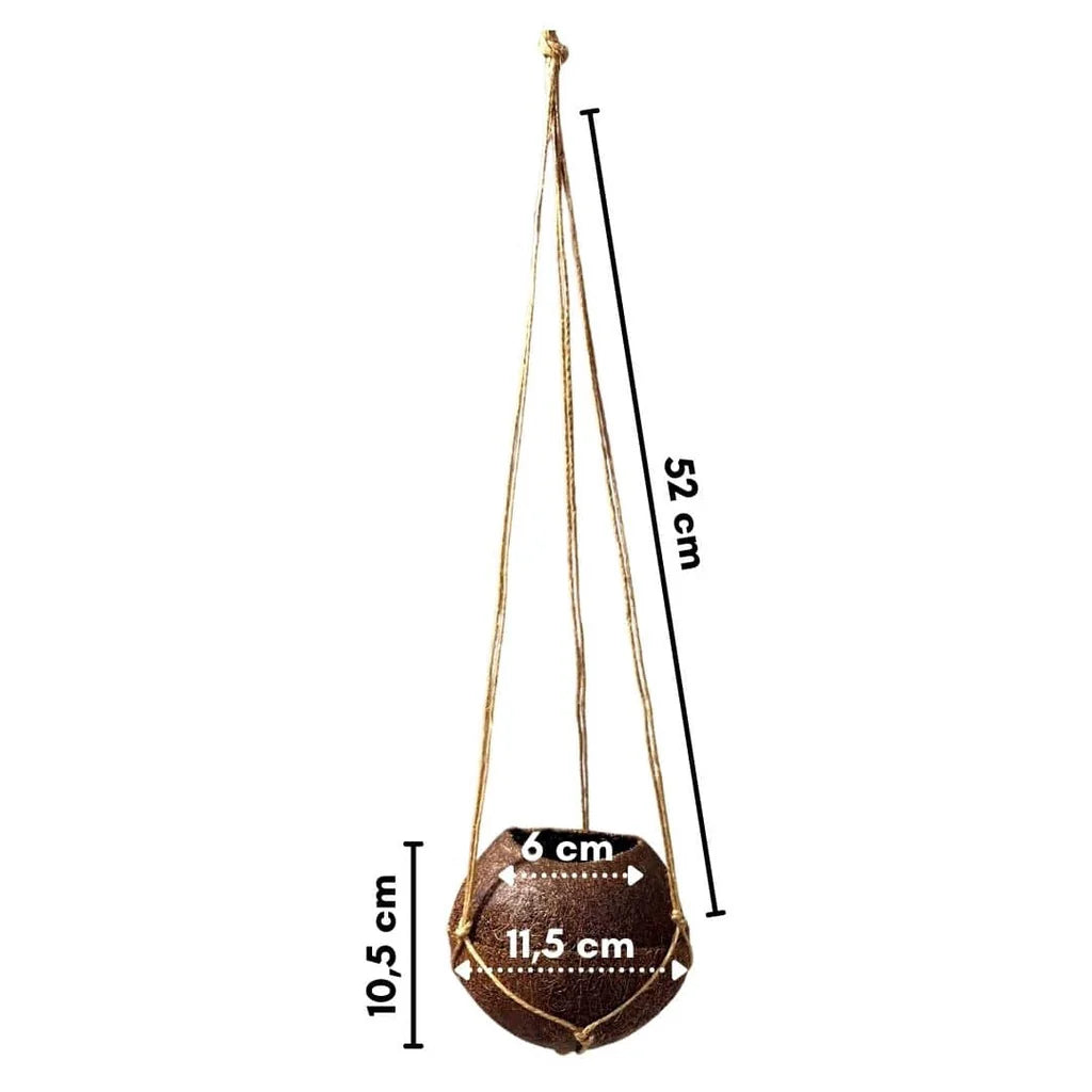 Natural Coconut Fiber Moss Pot