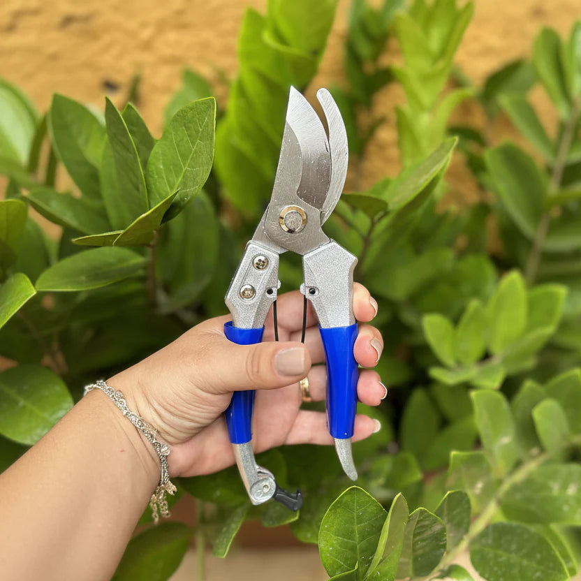 Safety Lock Pruning Shears