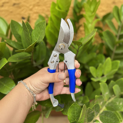 Safety Lock Pruning Shears