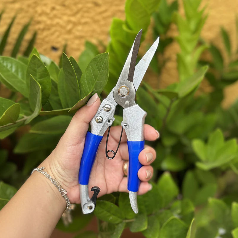 Sharp Safety Locking Pruning Shears