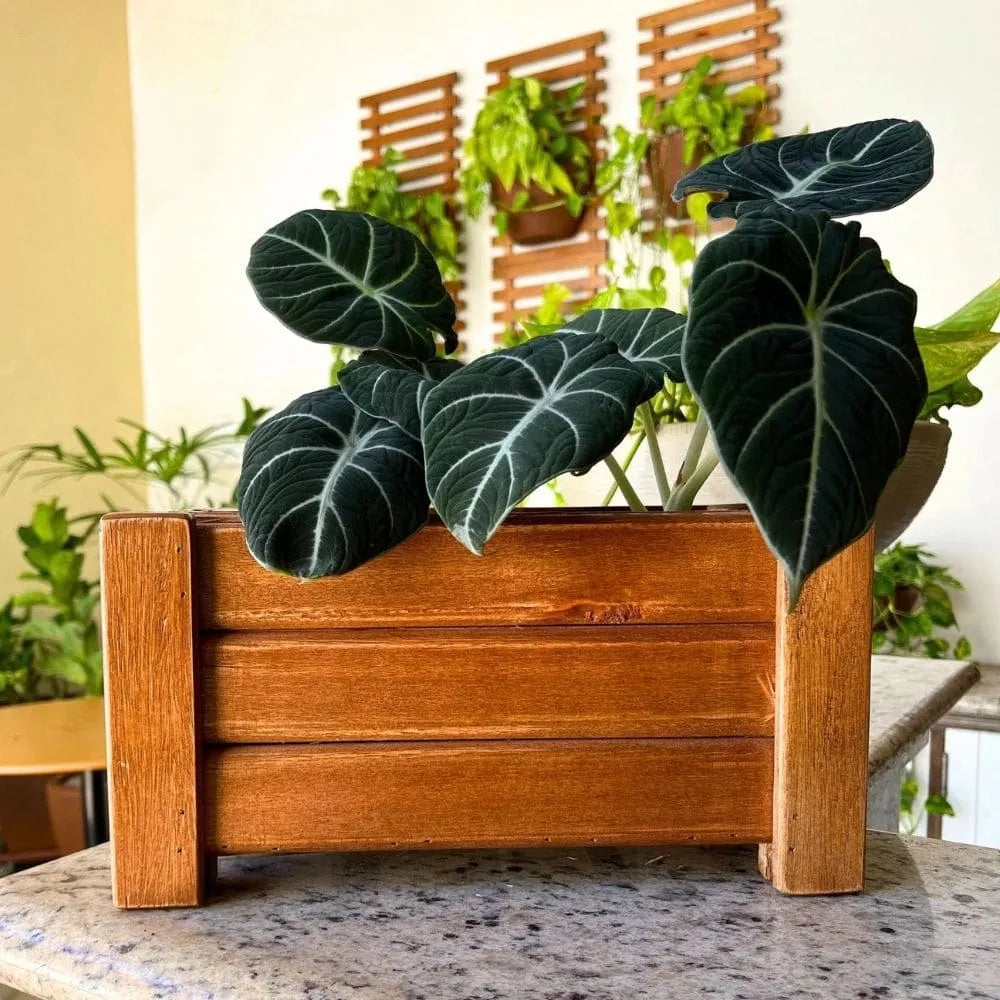 Wooden Slatted Flower Pot 30x16 CM