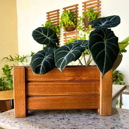 Wooden Slatted Flower Pot 30x16 CM
