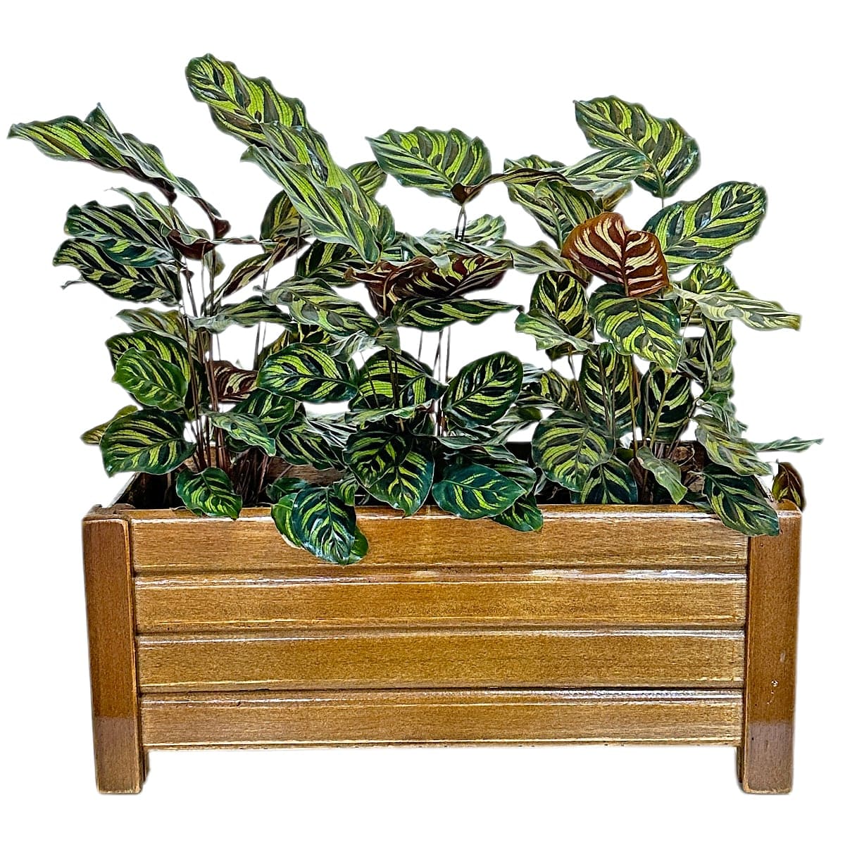 Wooden Slatted Flower Pot 40x16 CM